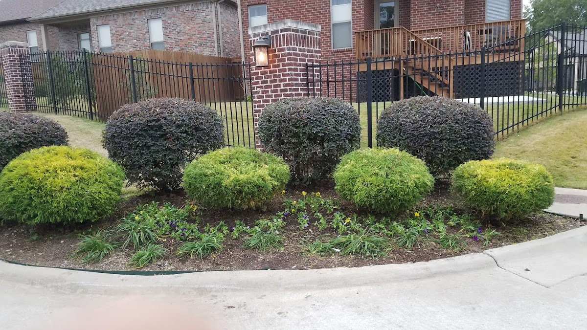 J&Po Chimney Cleaning & Chimney Repairs Service - J&Po Chimney Cleaning & Chimney Repairs Service Oven Repair in Little Rock, AR photo