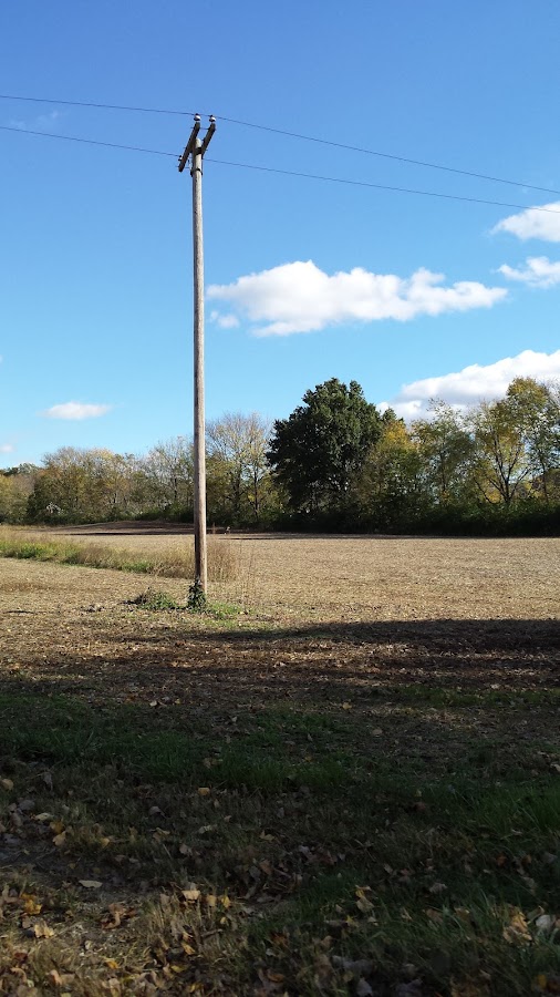 Parker's Professional Clock