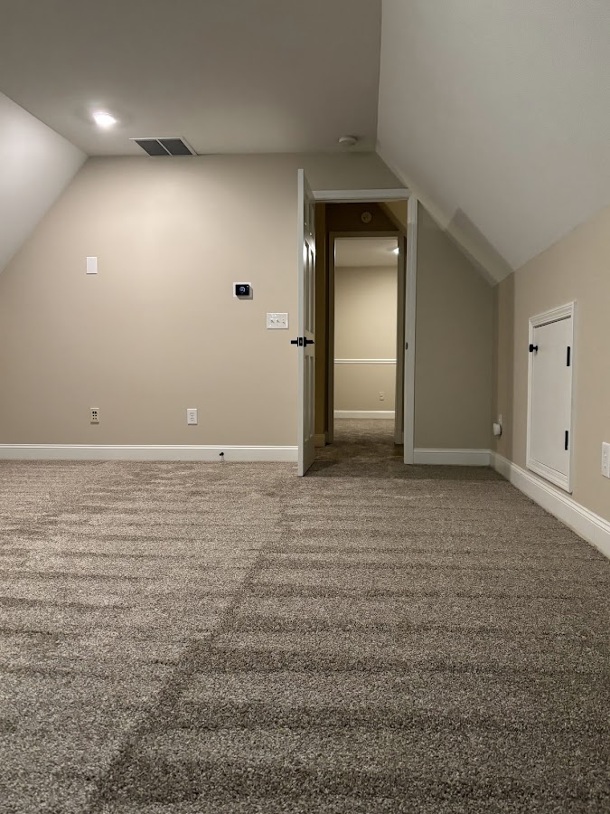 Professional Carpet Systems