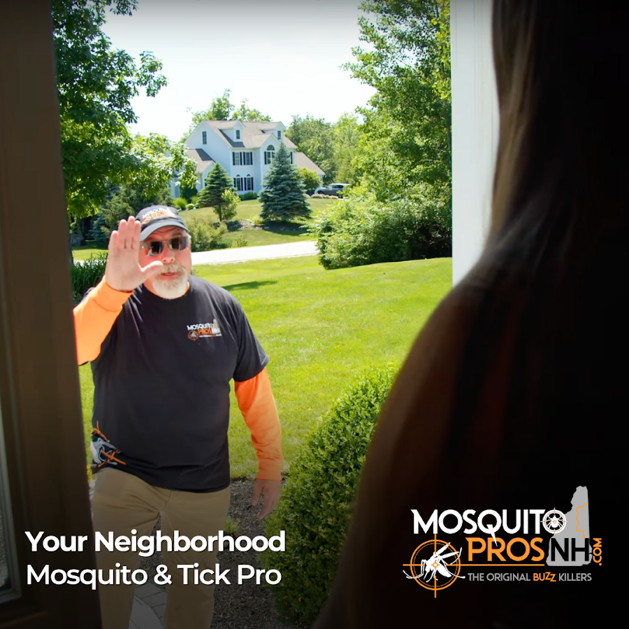 Mosquito Pro's NH