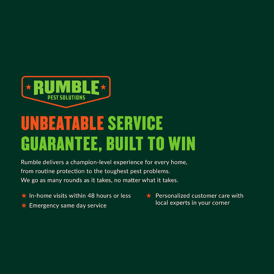 Rumble Pest Solutions