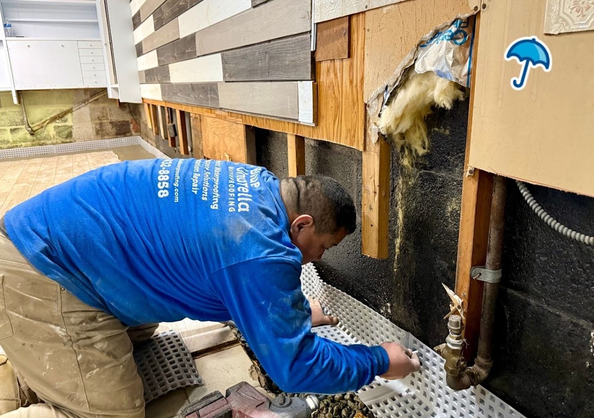 Blue Umbrella Waterproofing