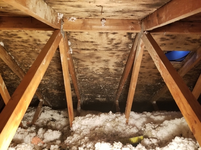 All Restoration Services