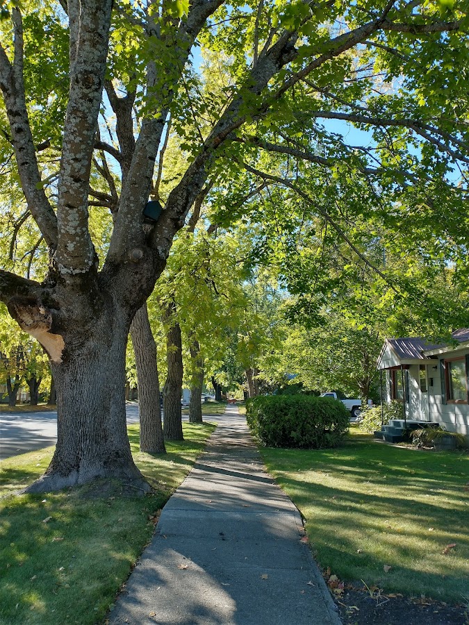 Tom's Auto Repair & Pellet