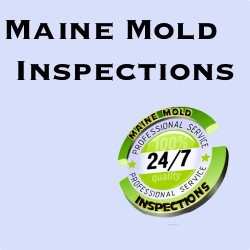 Maine Mold Inspections