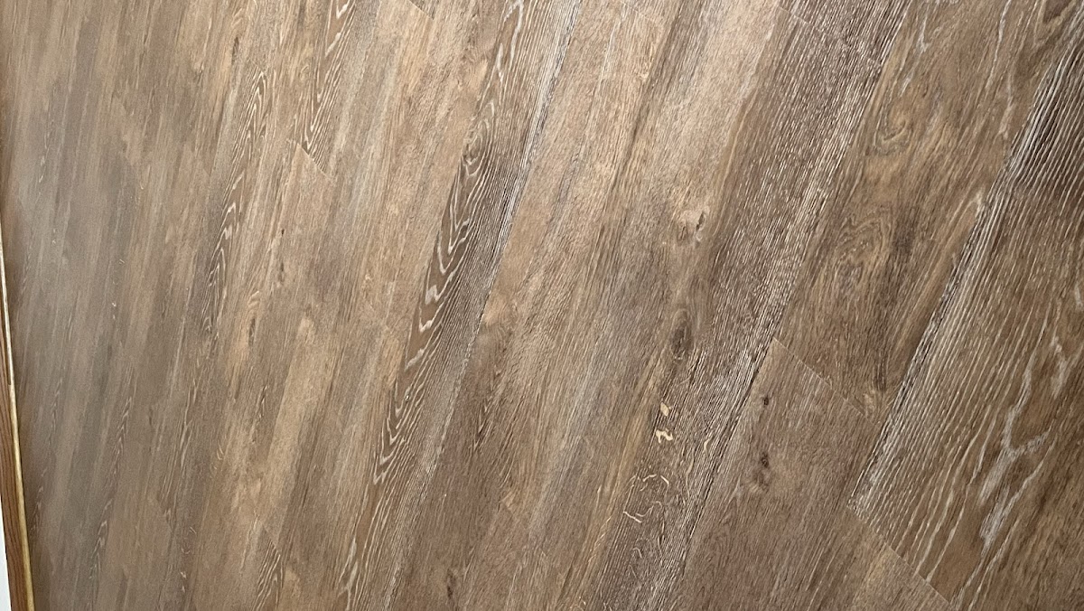 Carpet Services by Steve Watson