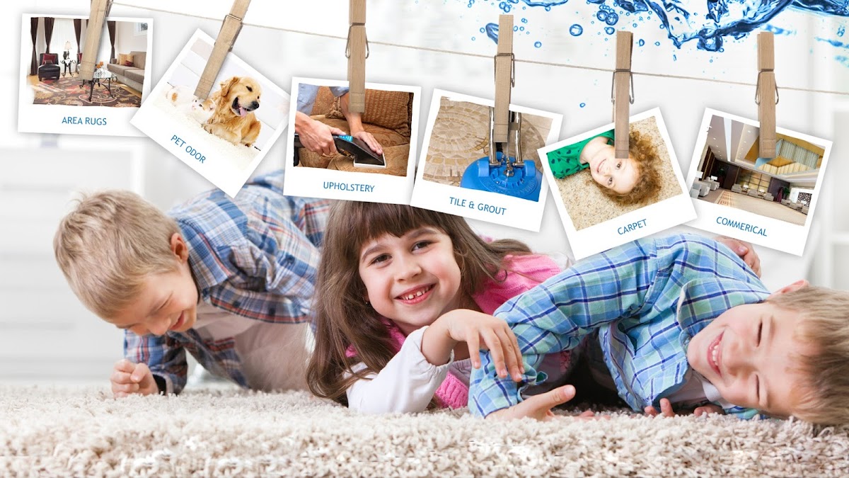 Zerorez of St. Louis