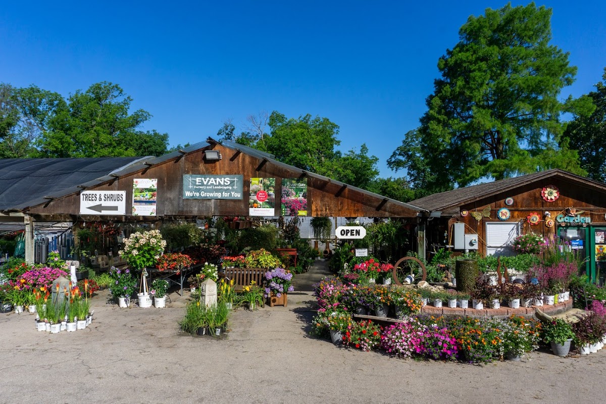 Evans Nursery LLC