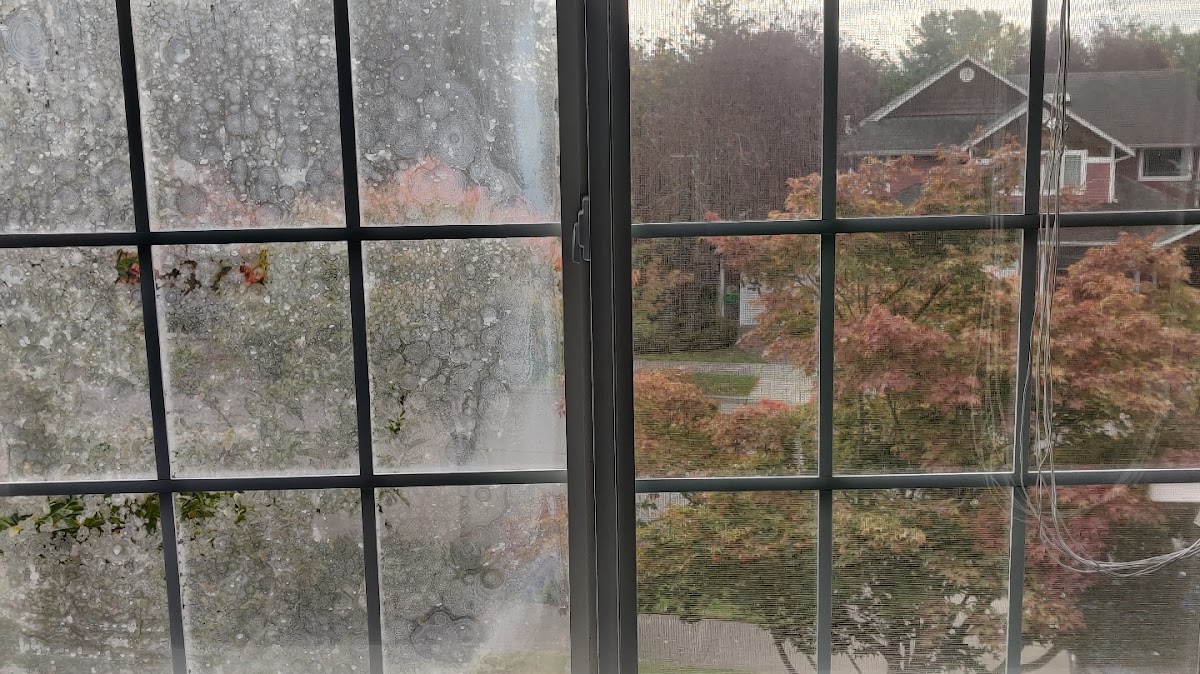 True Windows and Doors