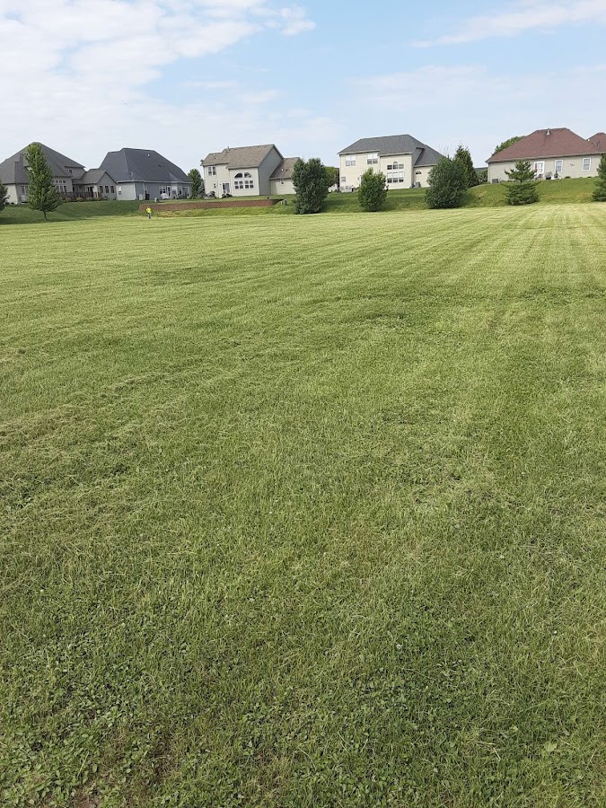 Priority Landscape & Maintenance