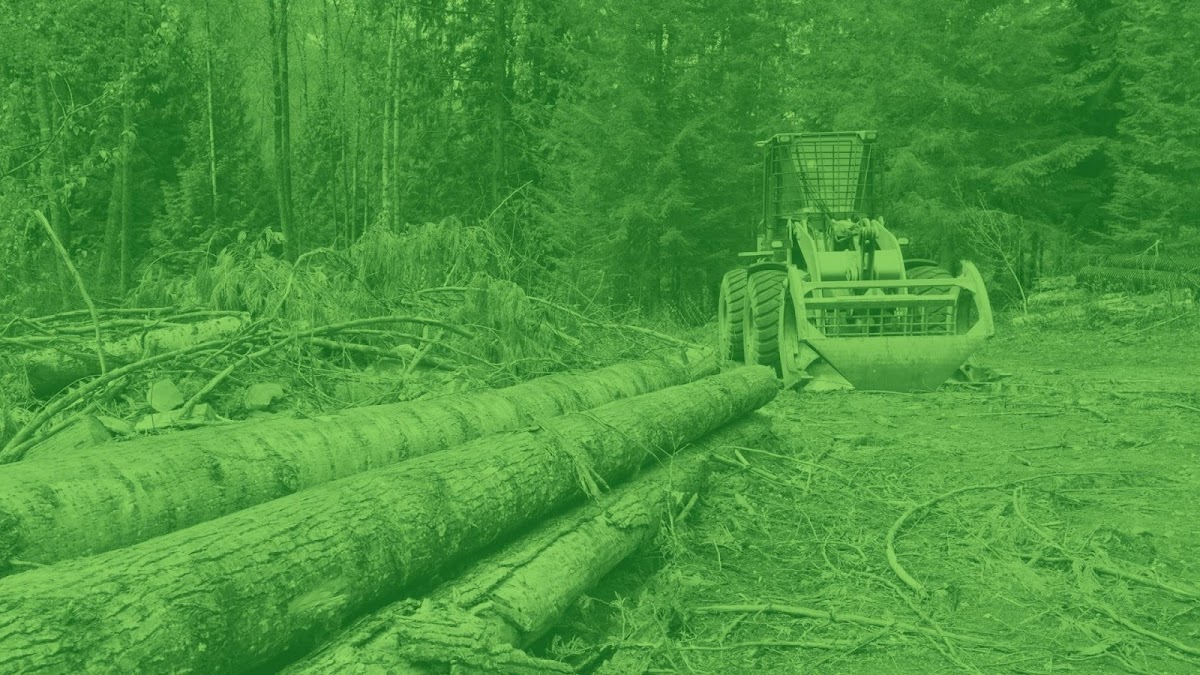 Frank's Land Restoration