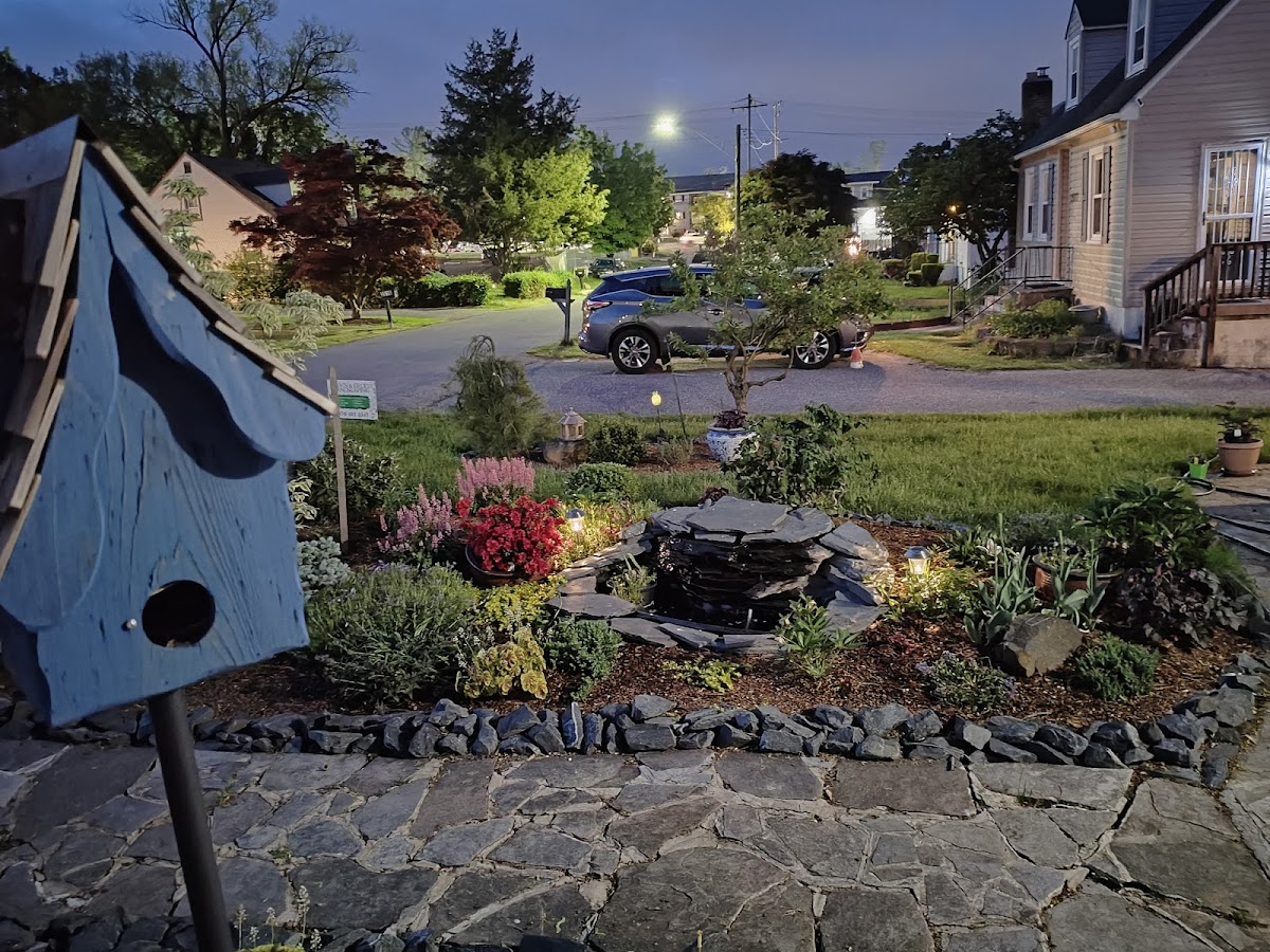 Native Spaces Landscaping LLC