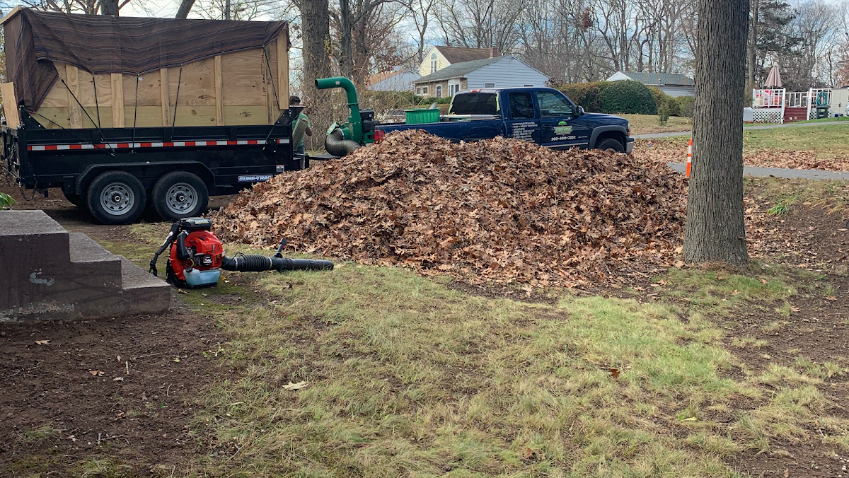 Byron Joels Tree Removal & Landscaping