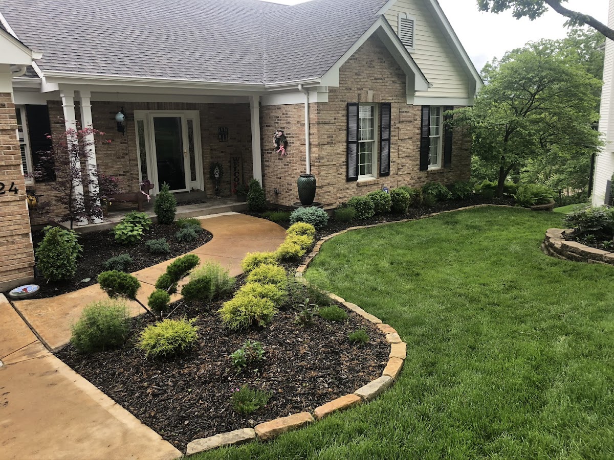 Bloom Lawn and Lights