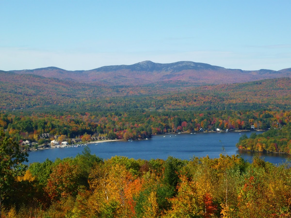 Alpine Appliance Repair Co