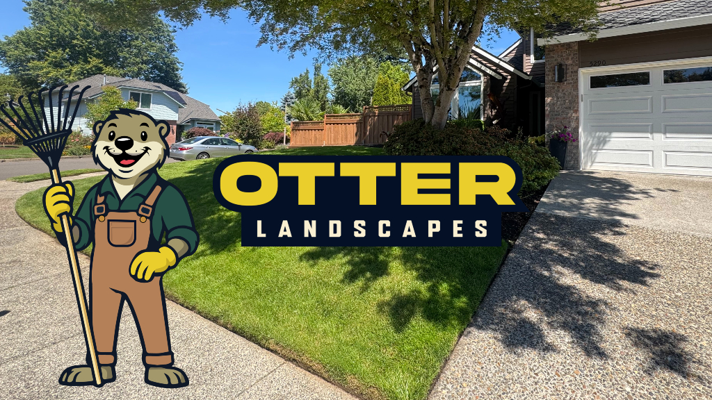 Otter Landscapes