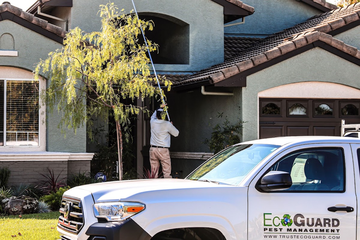 EcoGuard Pest Management