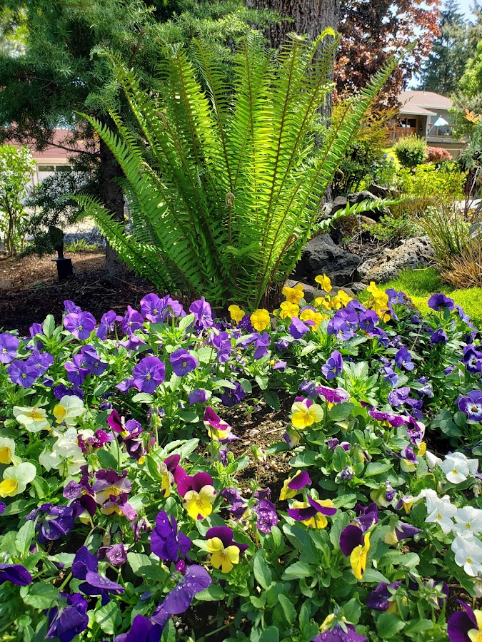 New Generation Landscape