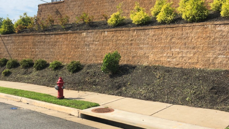 Christian’s Lawn Care