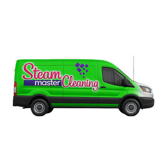 Steam Master Cleaning
