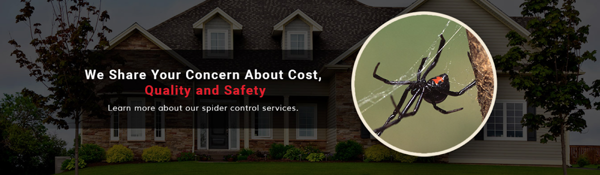 Pest Management Services