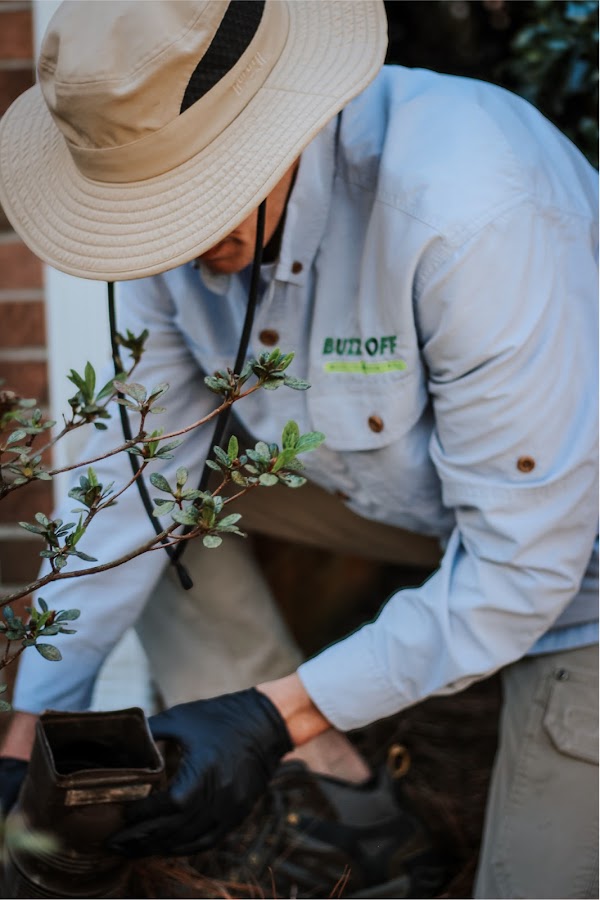 Buzz Off Mosquito Control