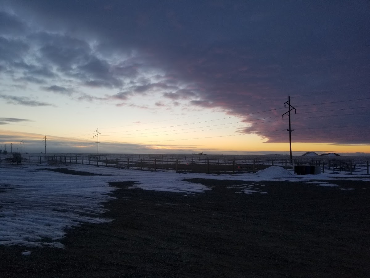 Paradise Valley Electric Inc