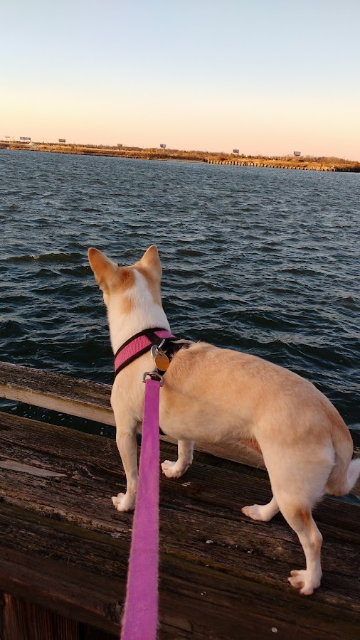 L. Feriozzi Concrete Co - L. Feriozzi Concrete Co Concrete Repair in Atlantic City, NJ photo