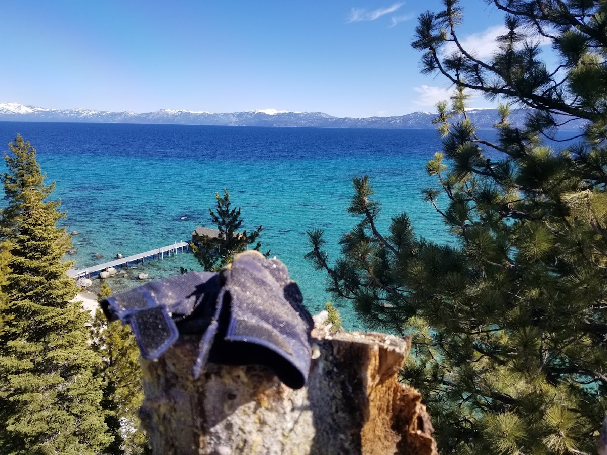 Gray Squirrel Tree Service, LLC