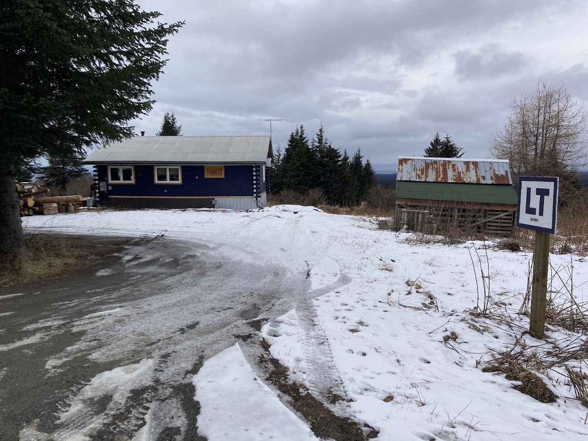 Lees Technology LLC - Lees Technology LLC Service in Homer, AK photo