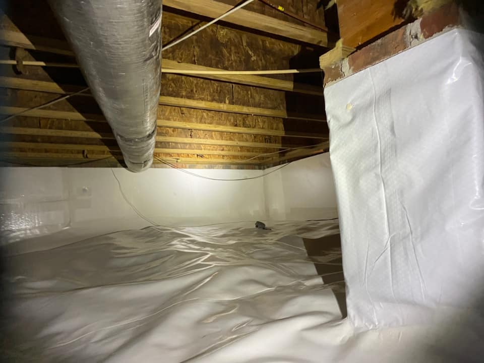 Dunwell Structural Repair